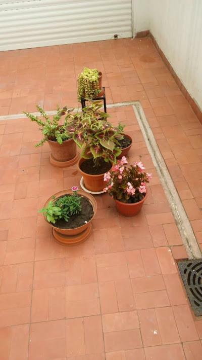 Kurmi Apartment Olavarría Exterior foto